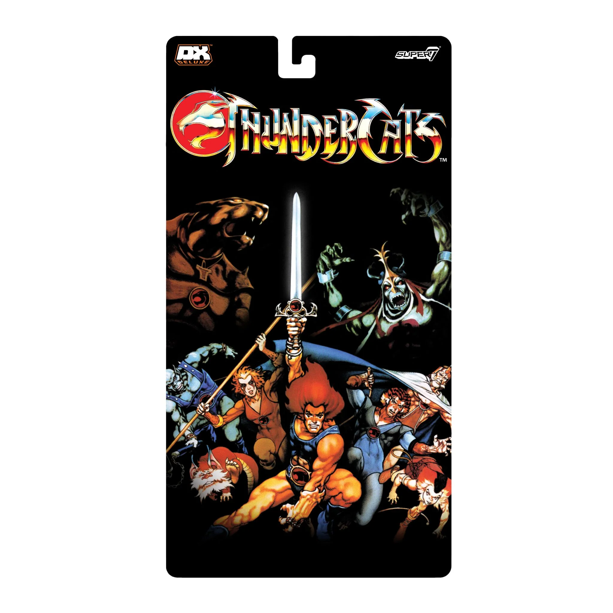 ThunderCats Deluxe Wave 01 - Lion-O 5 ThunderCats Deluxe Wave 01 - Lion-O