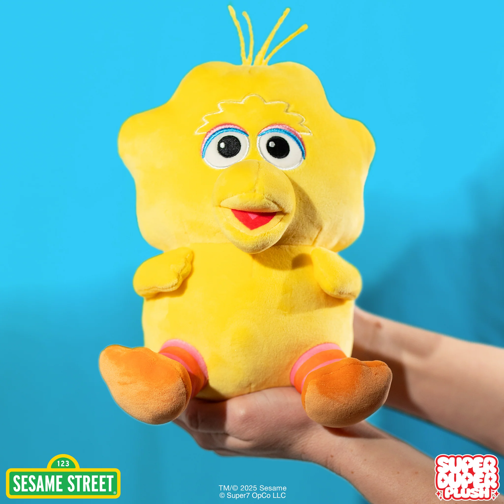 Sesame Street Super Duper Plush Wave 01 - Big Bird & Cookie Monster 4 Sesame Street Super Duper Plush Wave 01 - Big Bird & Cookie Monster