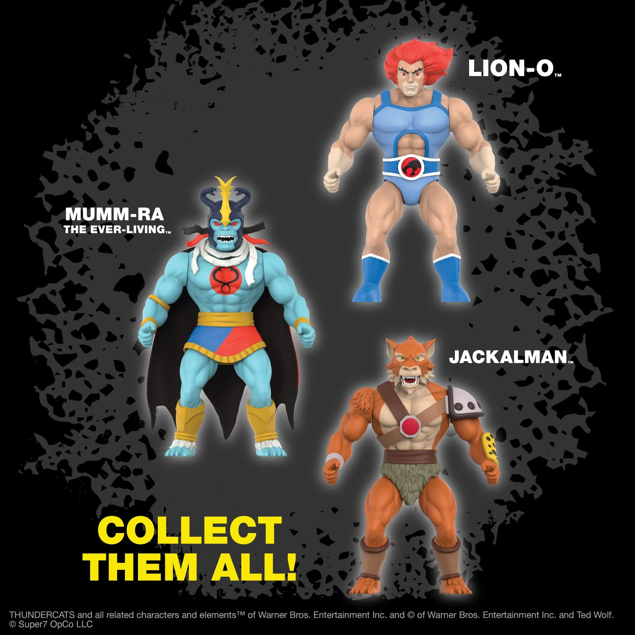 ThunderCats Vintage Figures Wave 01 - Lion-O 7 ThunderCats Vintage Figures Wave 01 - Lion-O