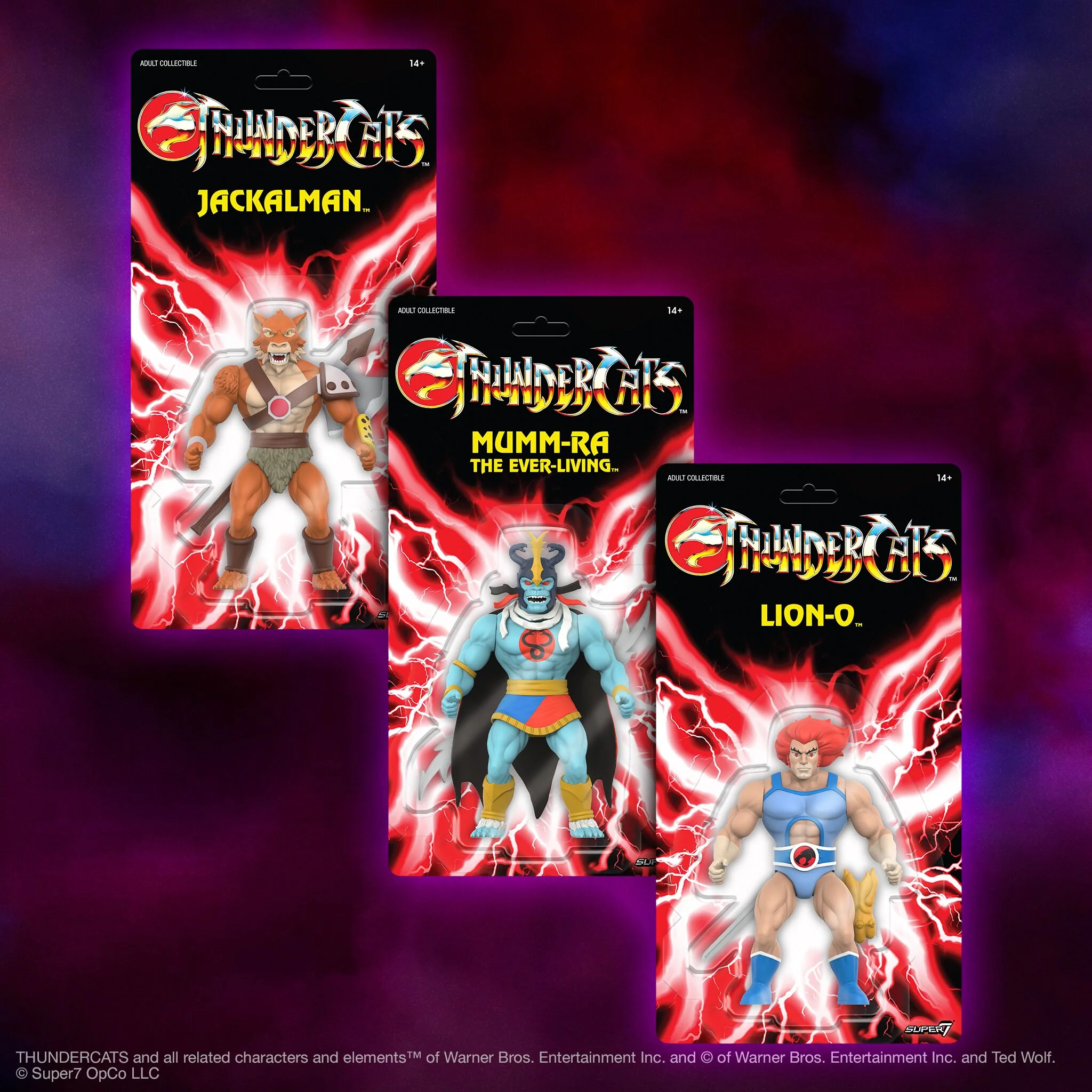 ThunderCats Vintage Figures Wave 01 - Lion-O 8 ThunderCats Vintage Figures Wave 01 - Lion-O